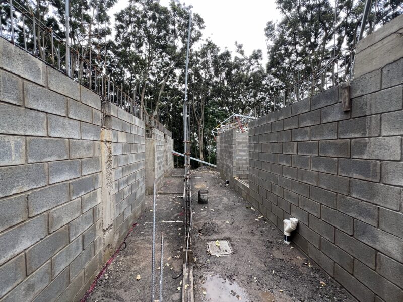 Proyecto Centro de Bienestar Animal. Foto: cortesía Municipalidad de La Unión.