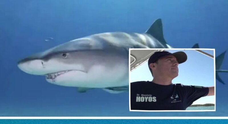 Biólogo mexicano Mauricio Hoyos.