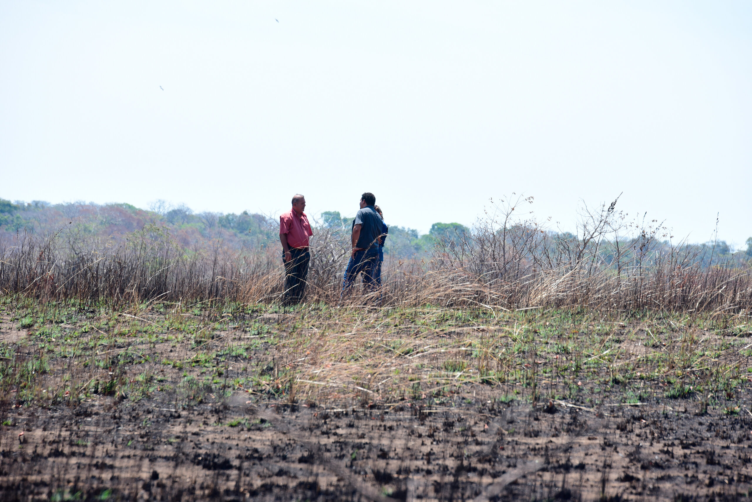 Cartago refuerza medidas para abastecer agua ante sequía