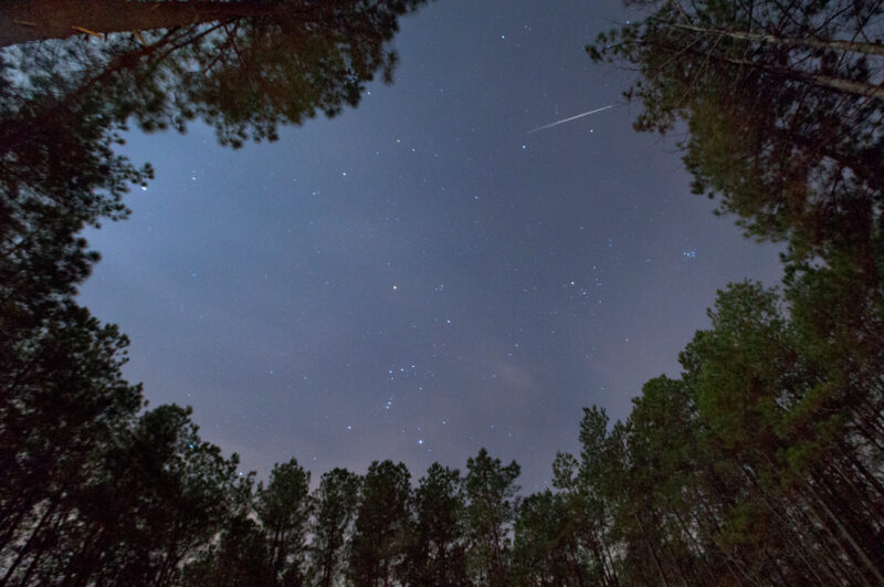 Lluvia de meteoros: ¿Qué día podrá observarse?