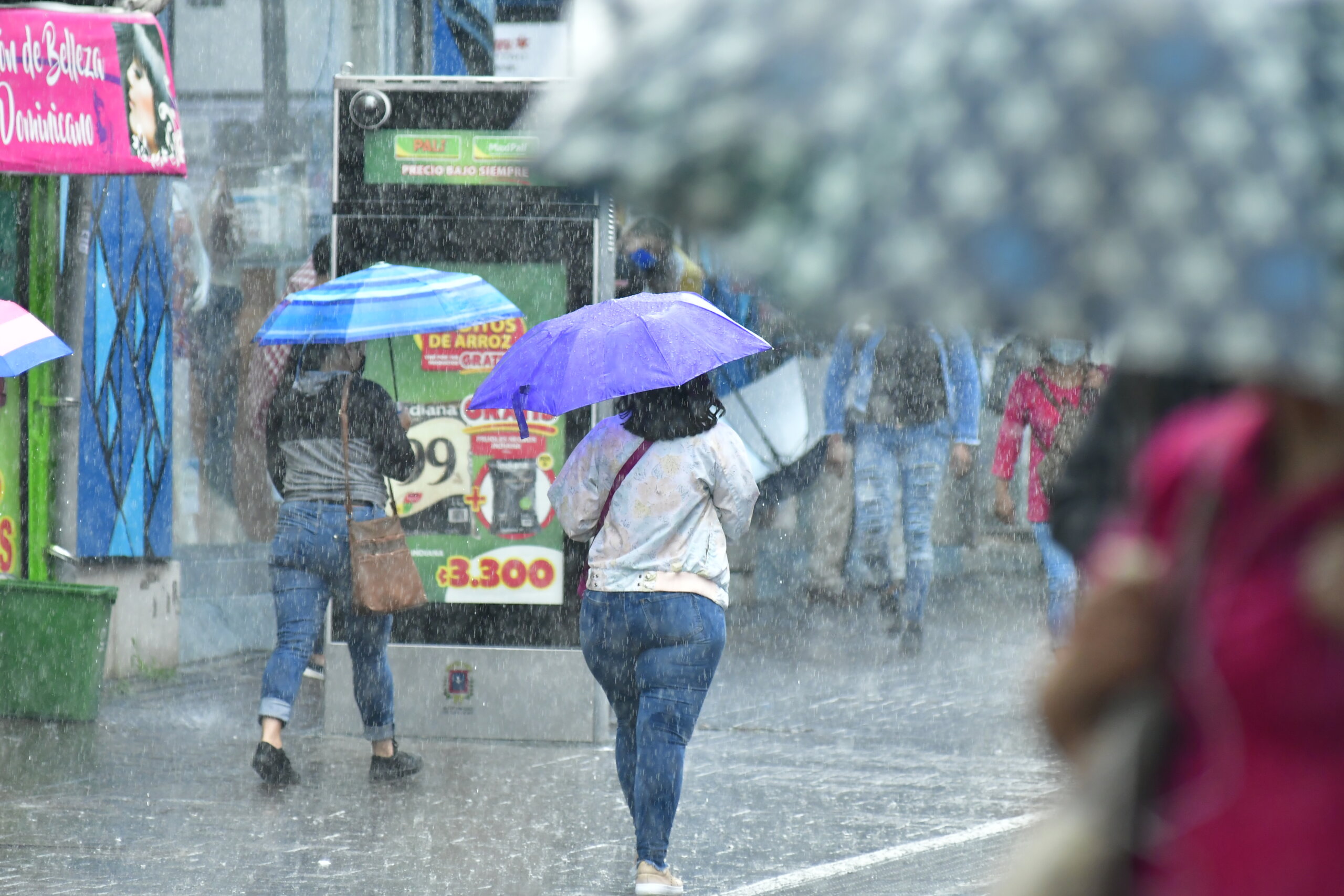 Lluvias elevan riesgo de enfermedades en Costa Rica