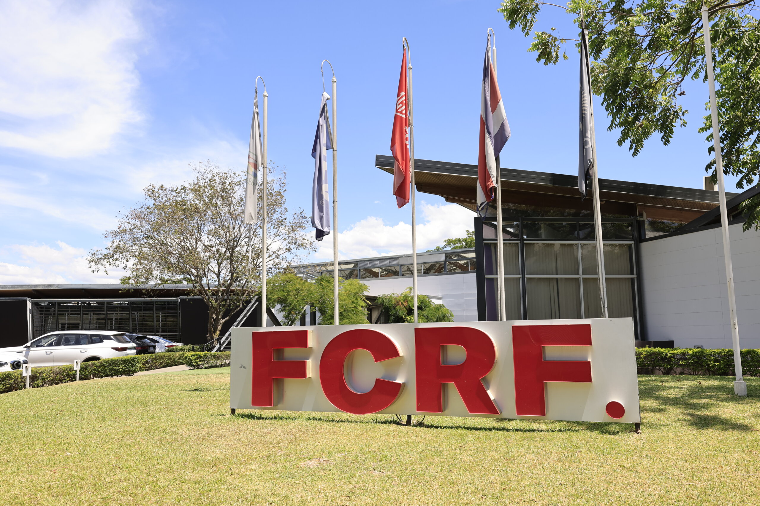 Club tico demandaría a la Federación Costarricense de Fútbol