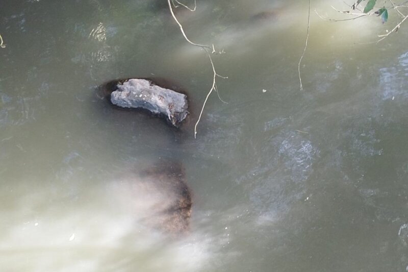 Denuncian río contaminado. Foto: tomada de redes sociales. 