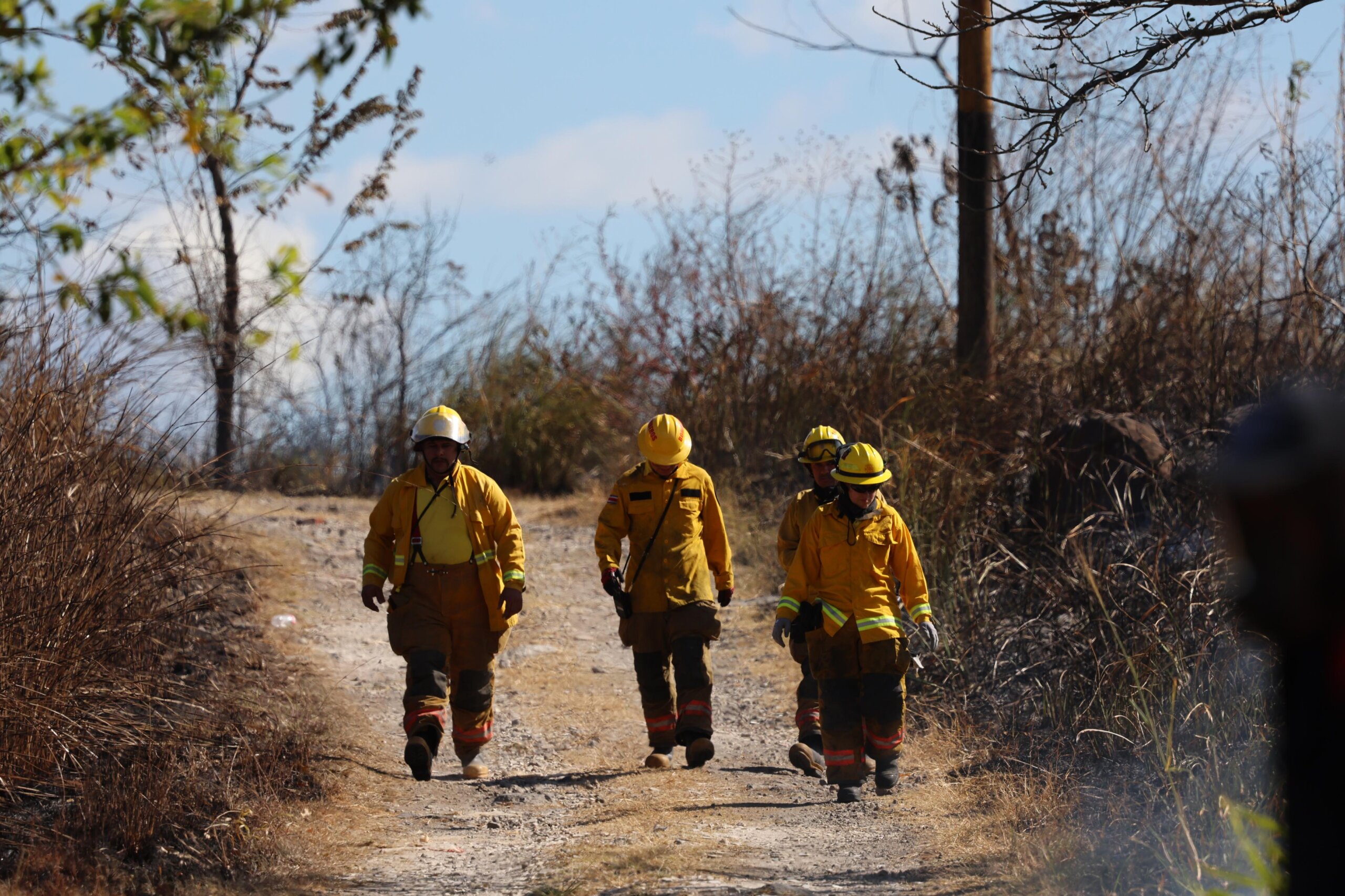Video: Incendio forestal llega a diversas estructuras en Guanacaste