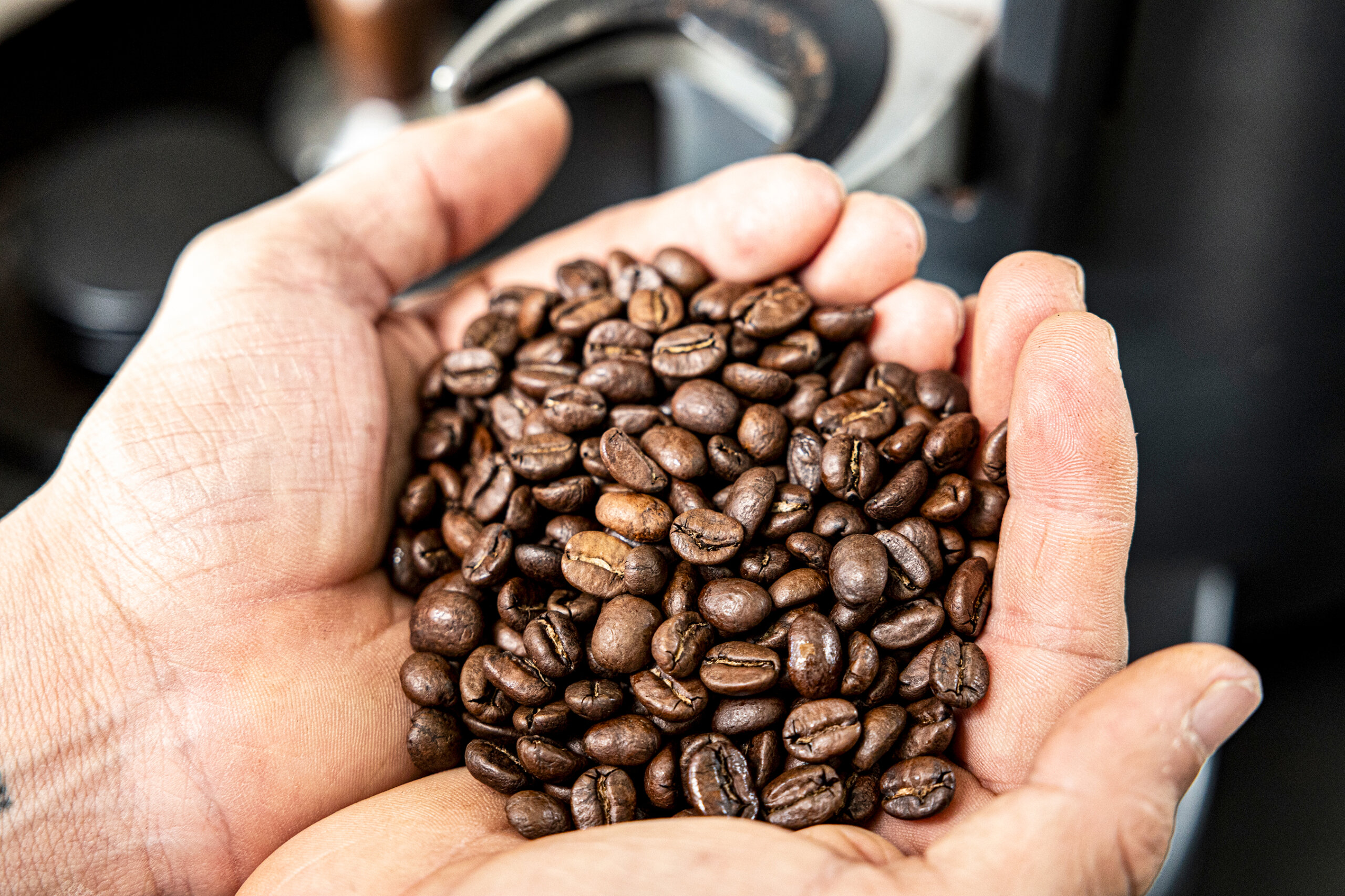 Capacitación gratuita busca atraer a jóvenes a la caficultura