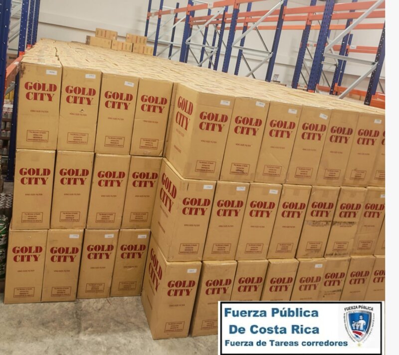 Millonario decomiso. Foto: MSP.