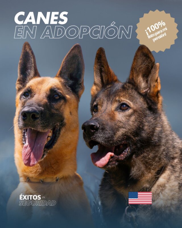 Perritos policías. Foto: tomada de las redes sociales de la Embajda de EEUU en CR.