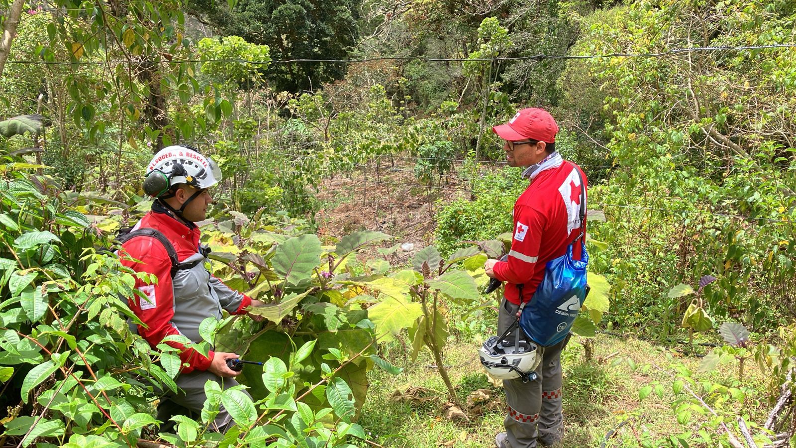 Hallan con vida a menor desaparecido en La Cima de Dota