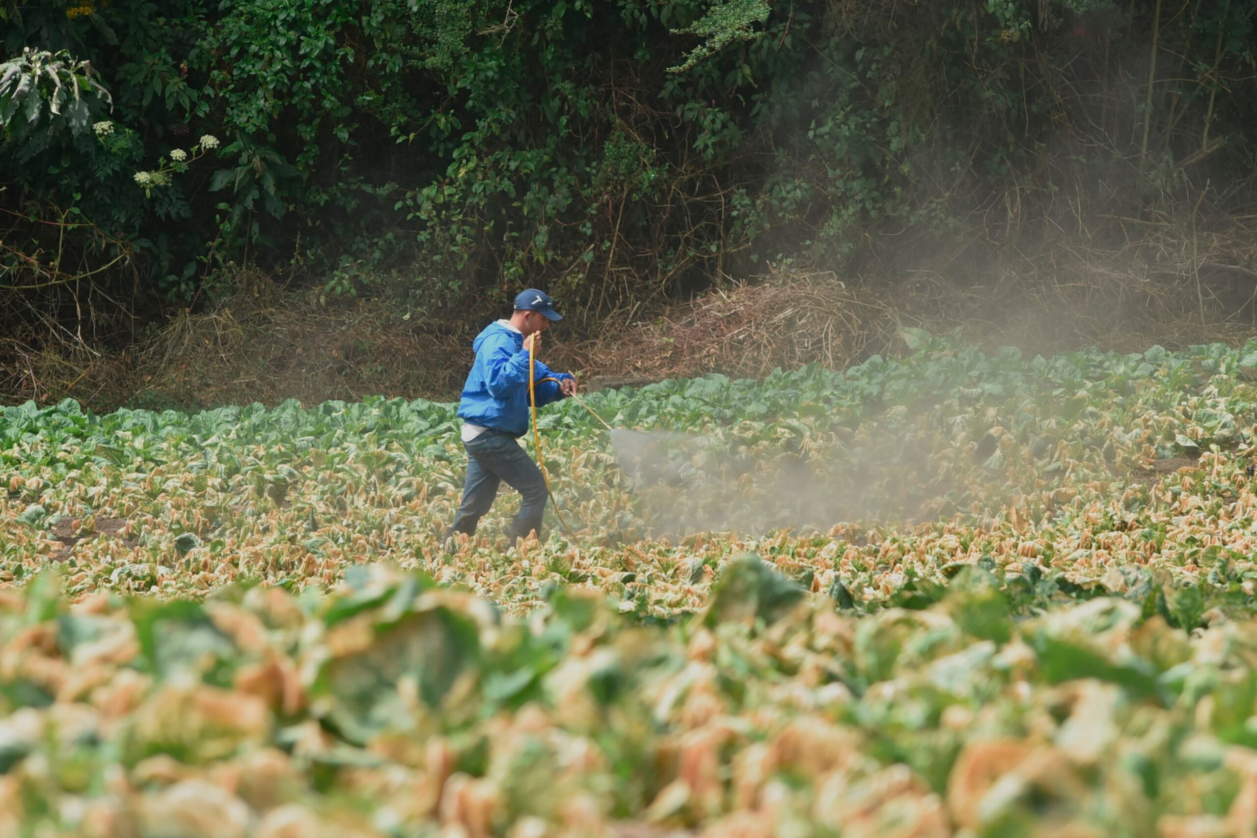 MAG flexibiliza requisitos para comerciar fertilizantes