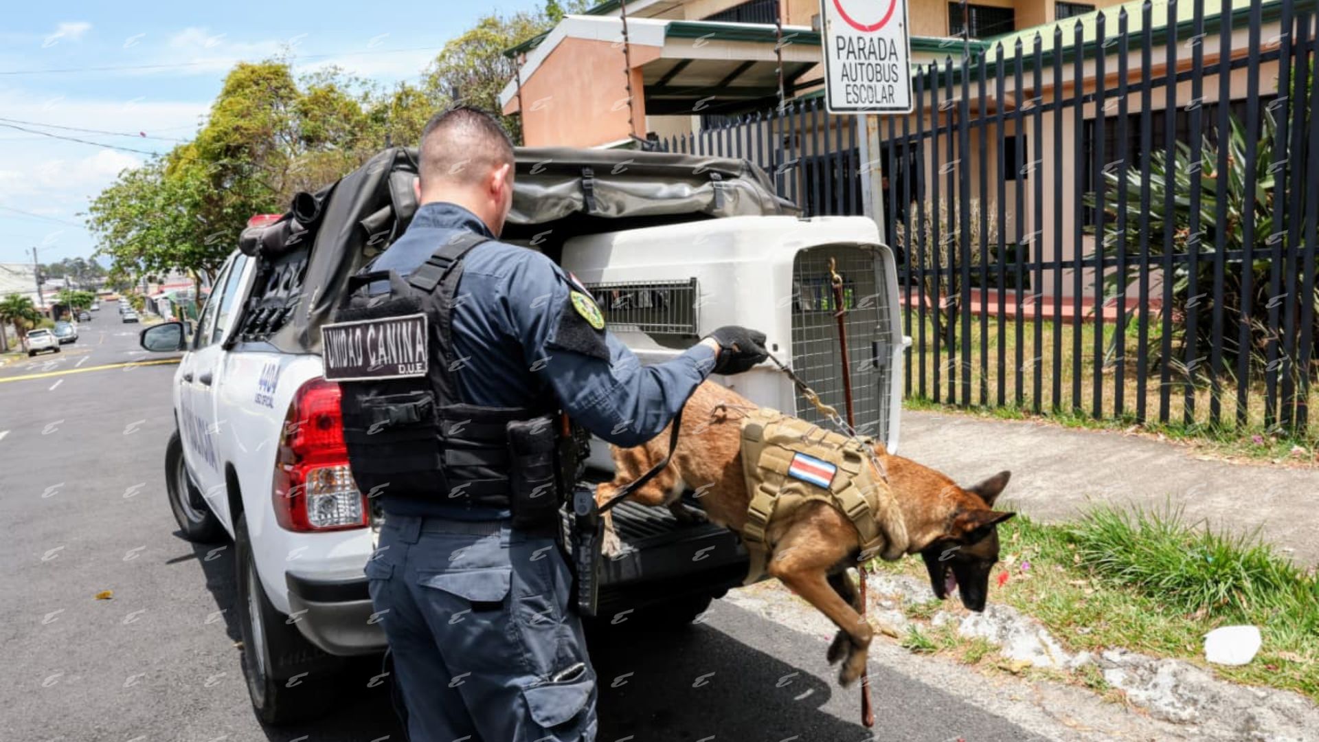 Perros inspeccionan aulas tras amenaza: Así luce centro educativo