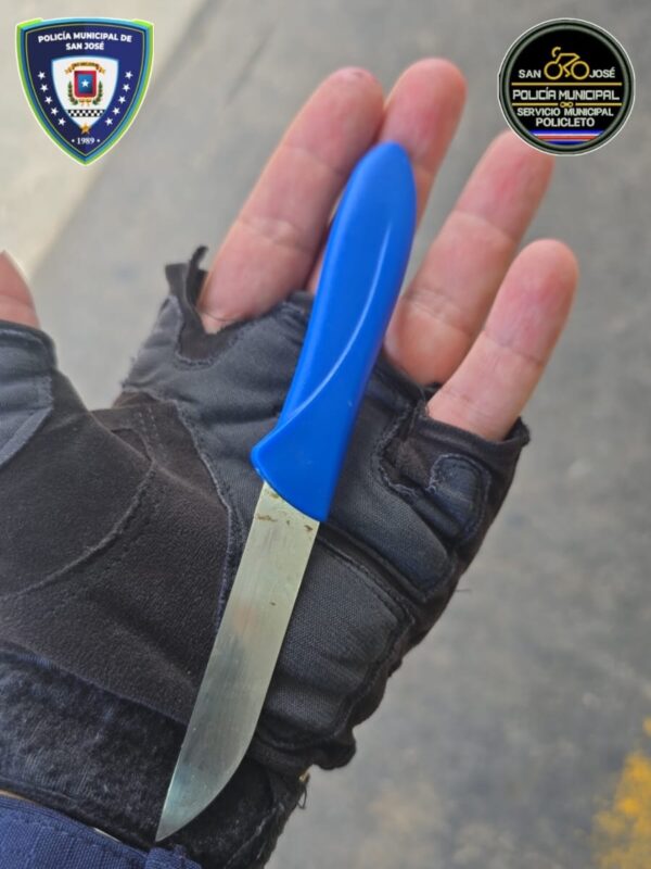 Armas hechizas decomisadas. Foto: Policía Municipal de San José. 