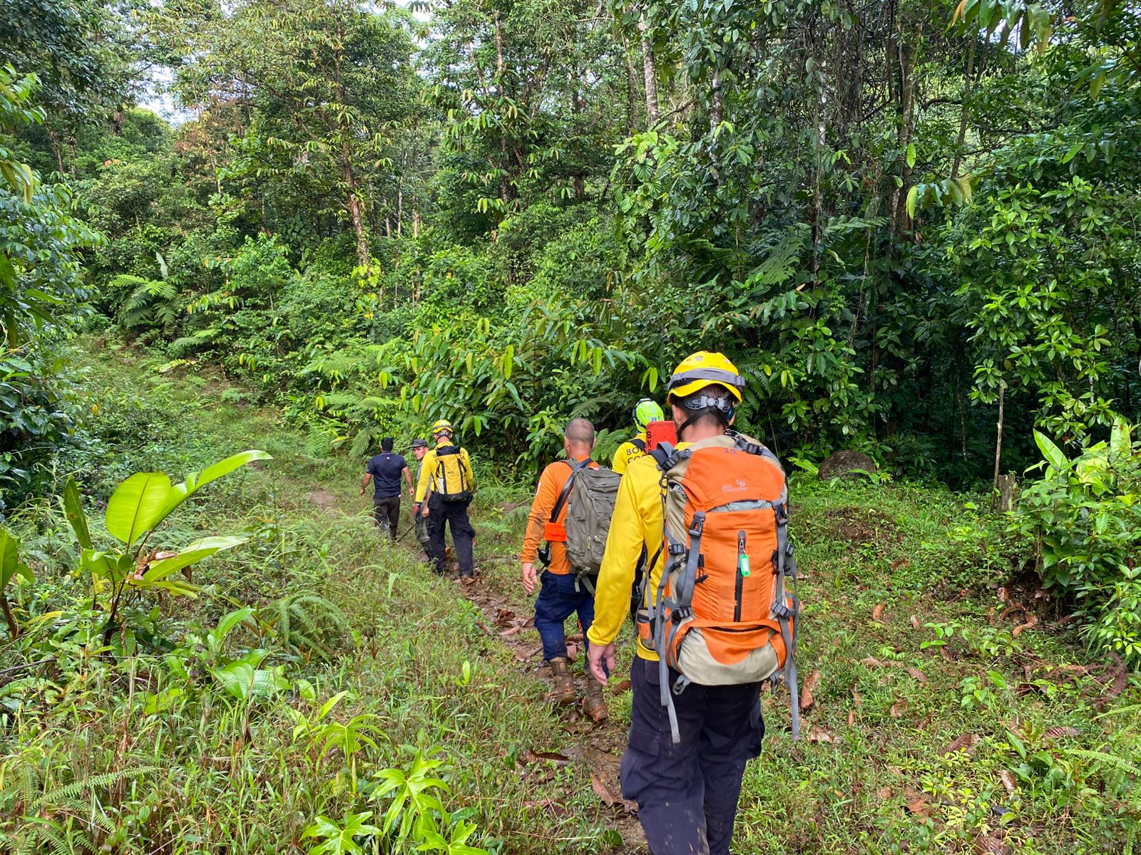 Bomberos comparten videos del complejo rescate de menor que cayó a guindo