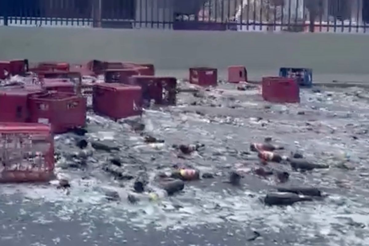 ¡Caos en San Sebastián! Camión derrama cervezas y bloquea la rotonda