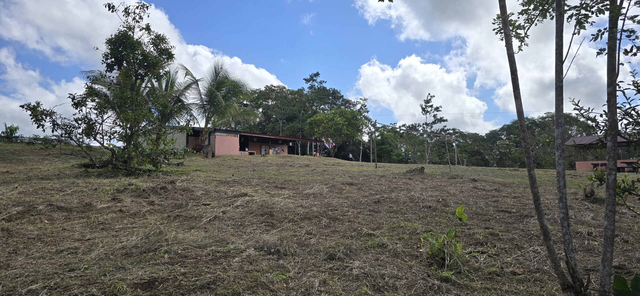 Serpientes y comején: Los 11 años de abandono en escuela de Pocosol