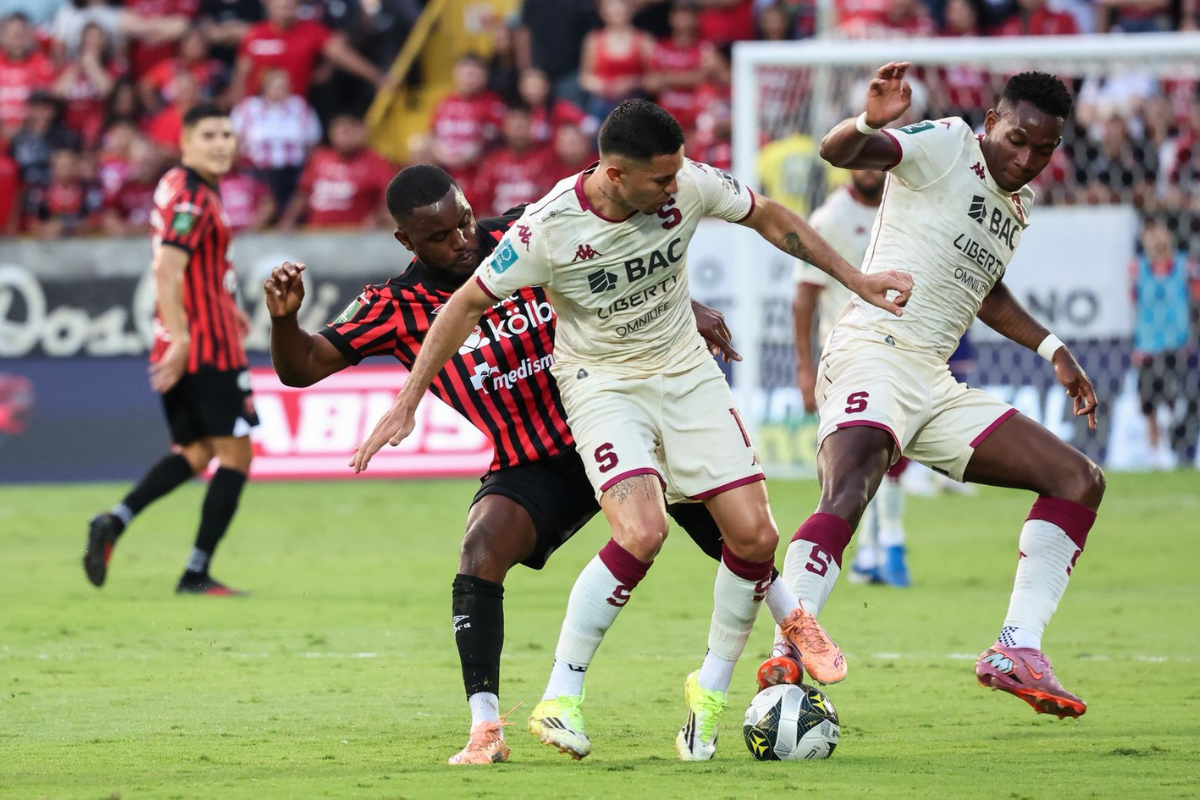 León manudo contra las cuerdas