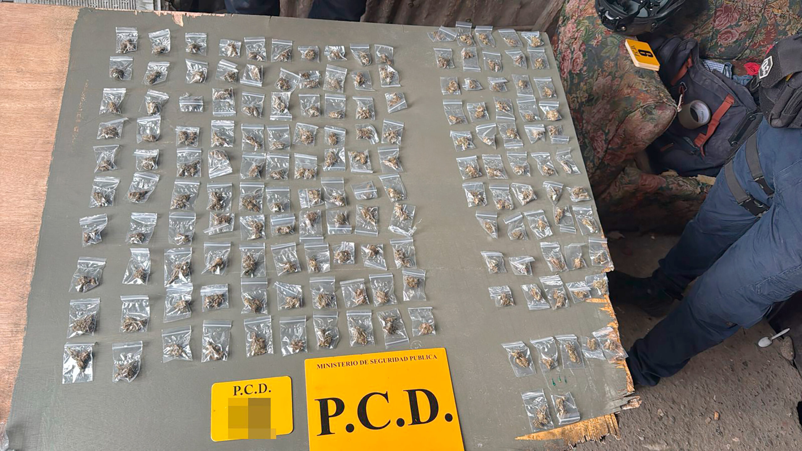 “Los Chacales”: una estructura familiar delictiva