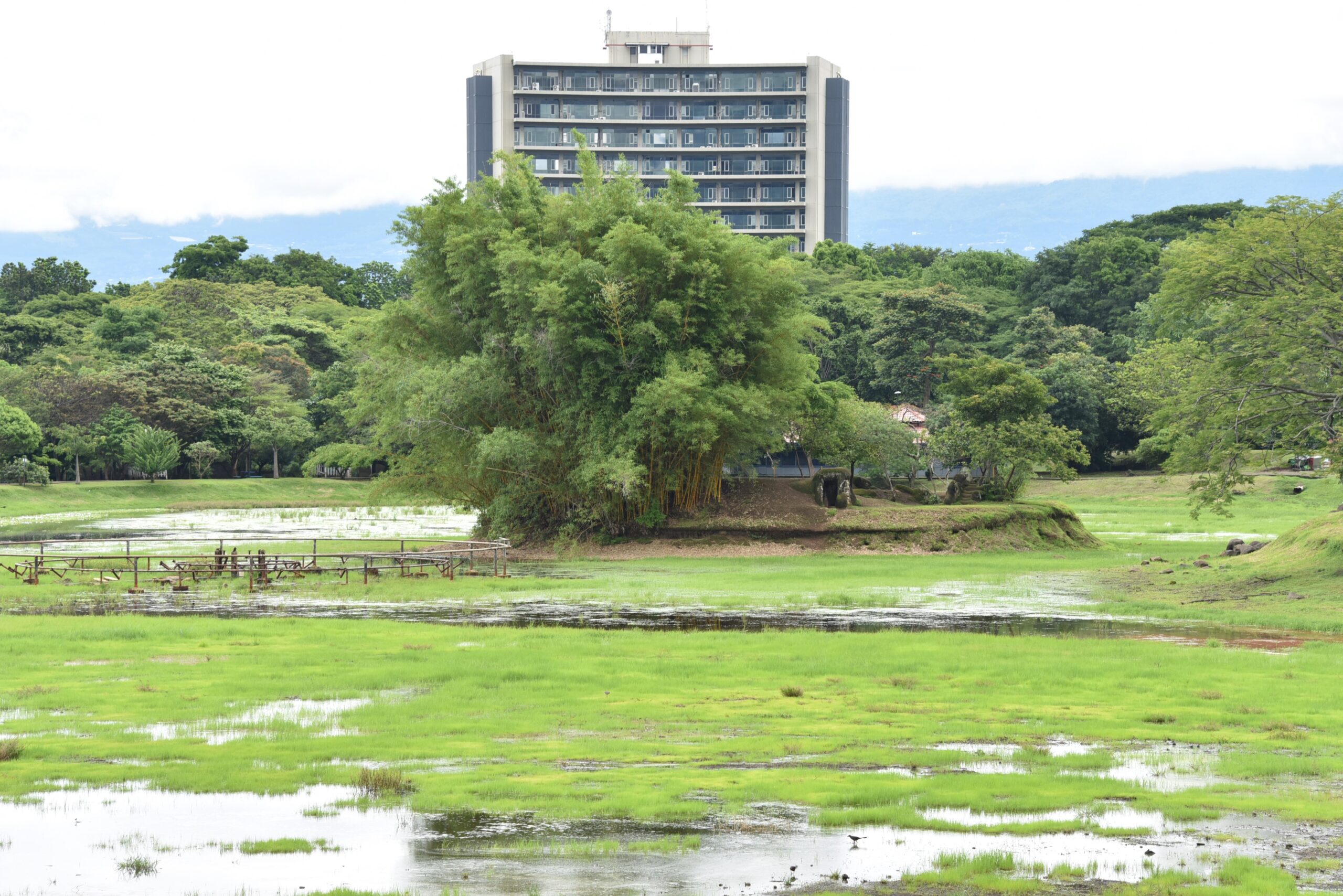 Esto costará la iluminación de La Sabana