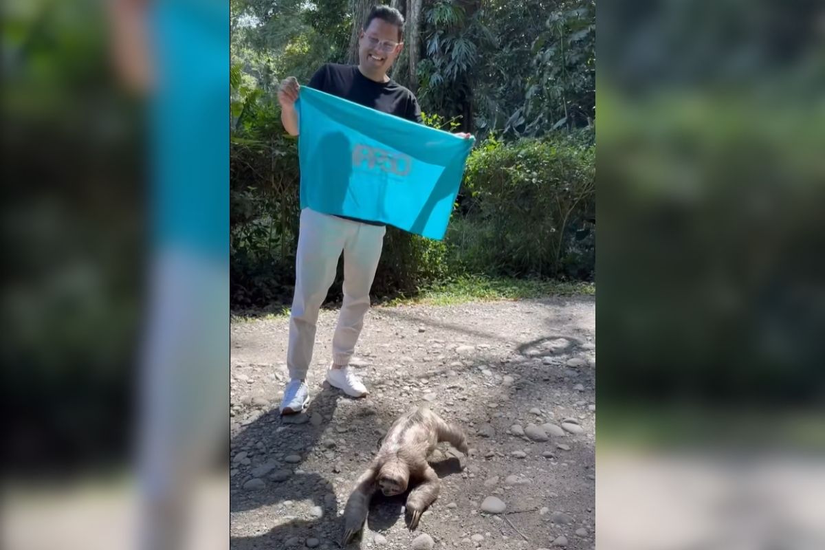 Futuro diputado rescata a perezoso con bandera de Pueblo Soberano