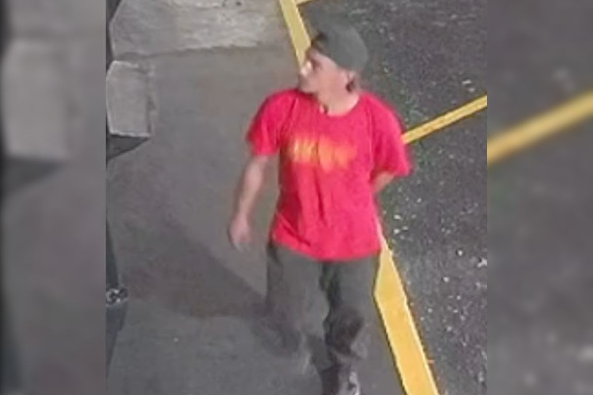 Captado en video: Sujeto patea puerta de local y roba varios objetos