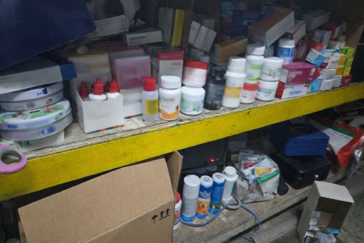 Detectan plagas en venta de medicamentos veterinarios en Santa Ana
