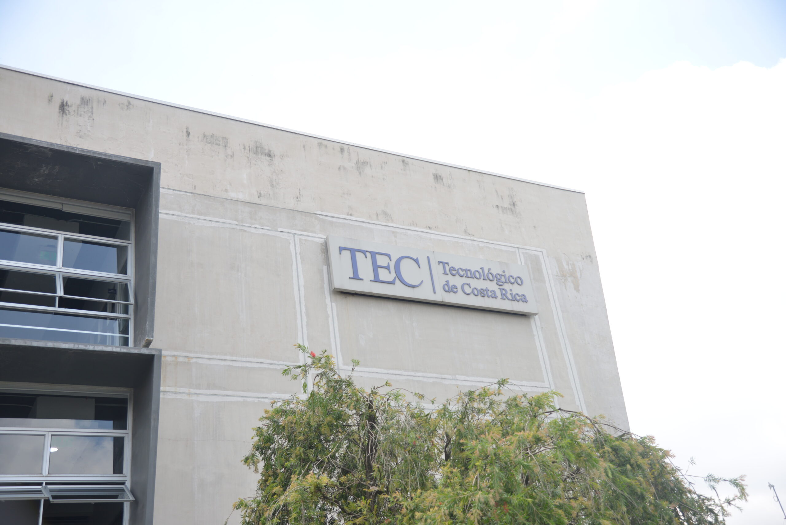 Destapan campaña de amenazas y terrorismo contra el TEC