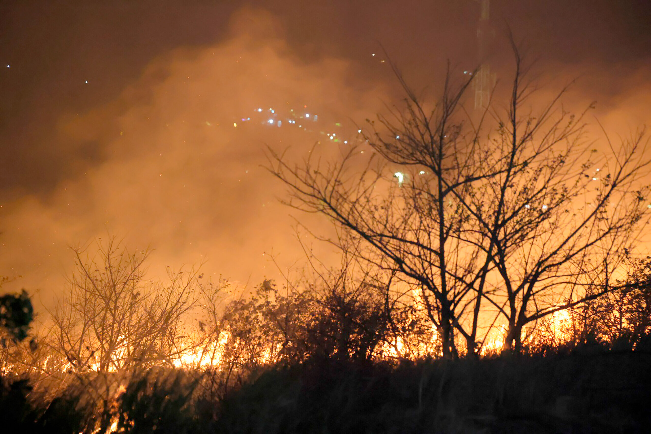 146 incendios forestales en 2026