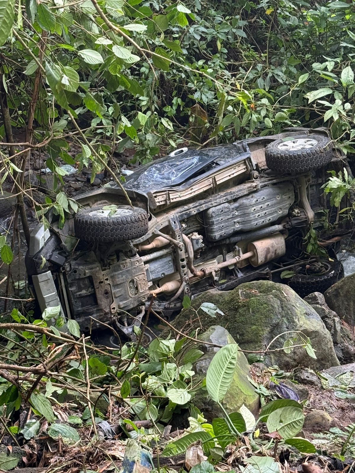 Canadiense sobrevive a caída de 60 metros en plena madrugada