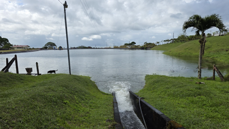Electricidad de Coopesantos sera más barata para usuarios