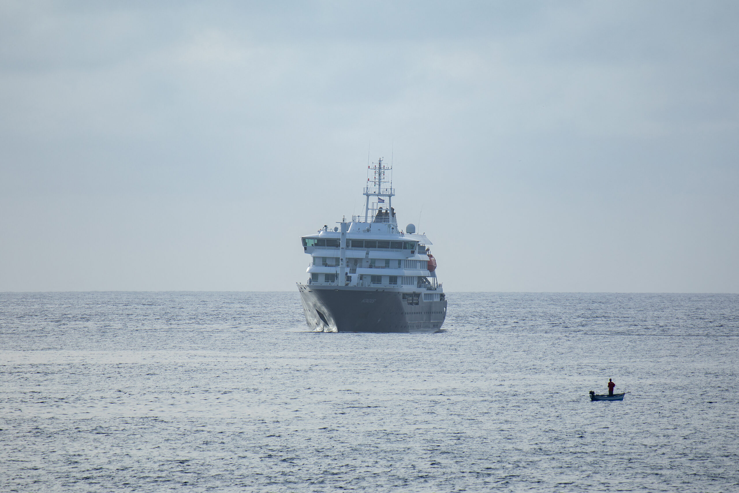 OMS cree “posible” más casos de hantavirus por brote en crucero