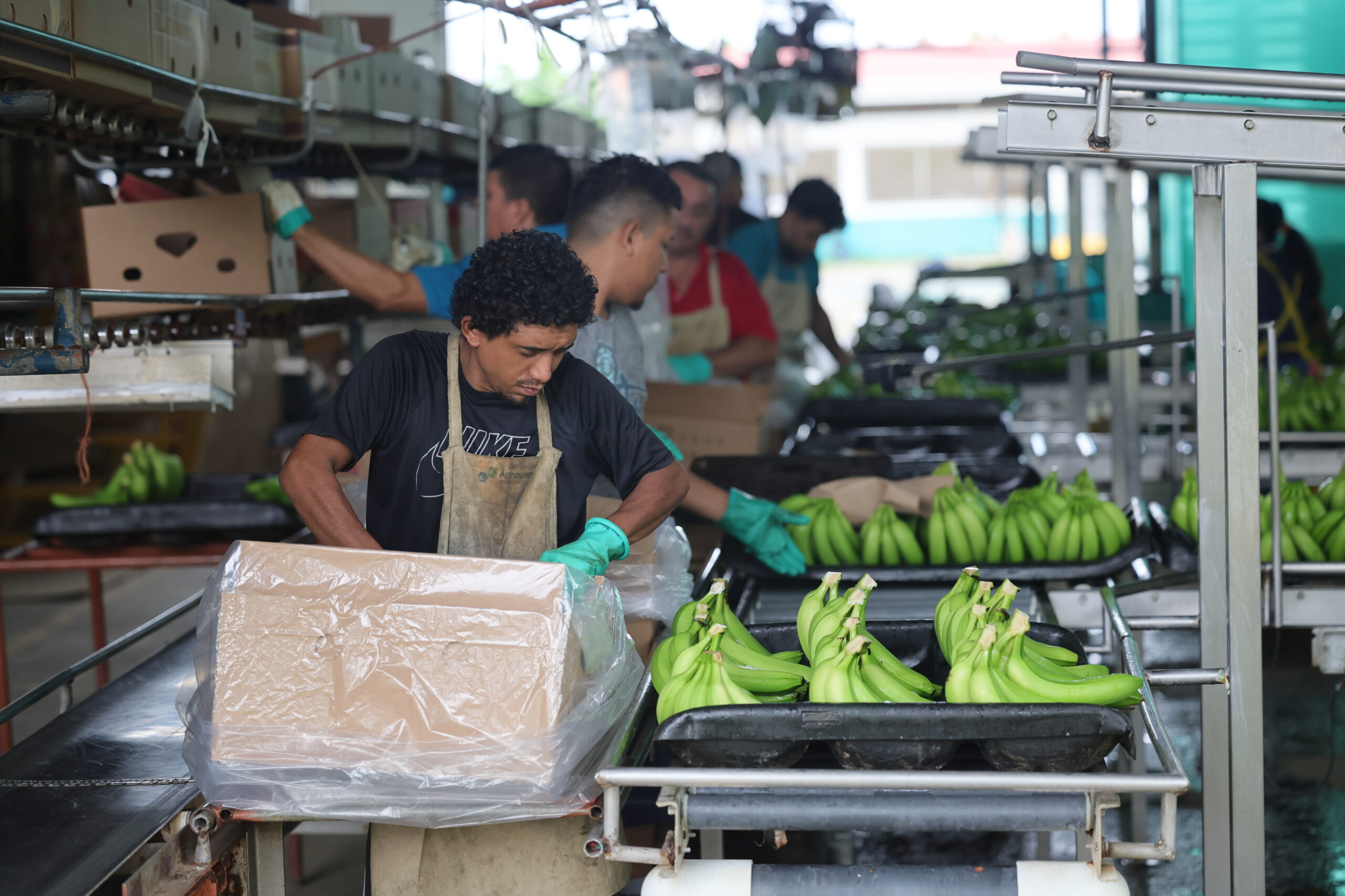 Exportaciones de bienes superan los $7.400 millones
