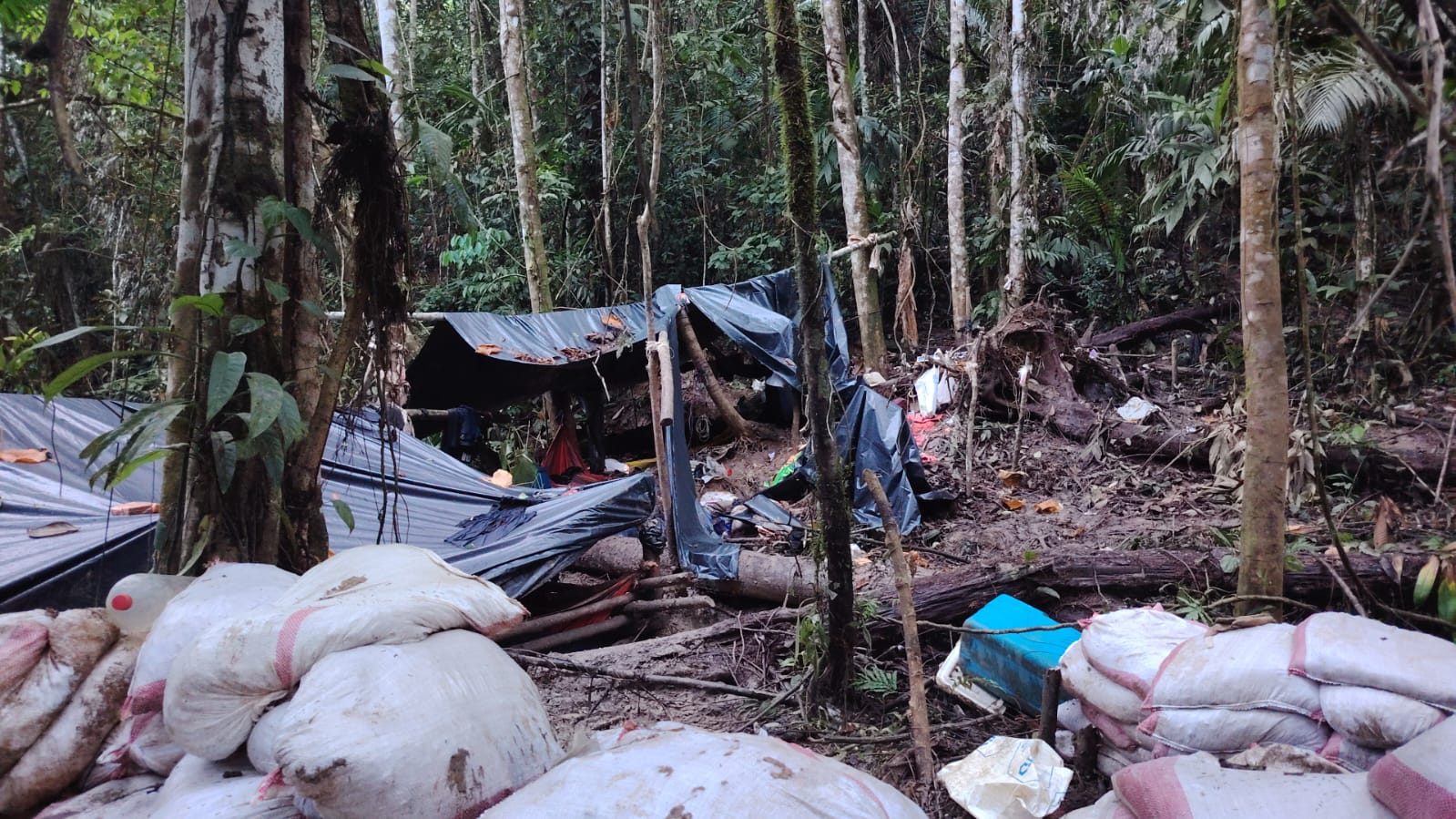 Operativo contra oreros deja millonario decomiso en la frontera norte