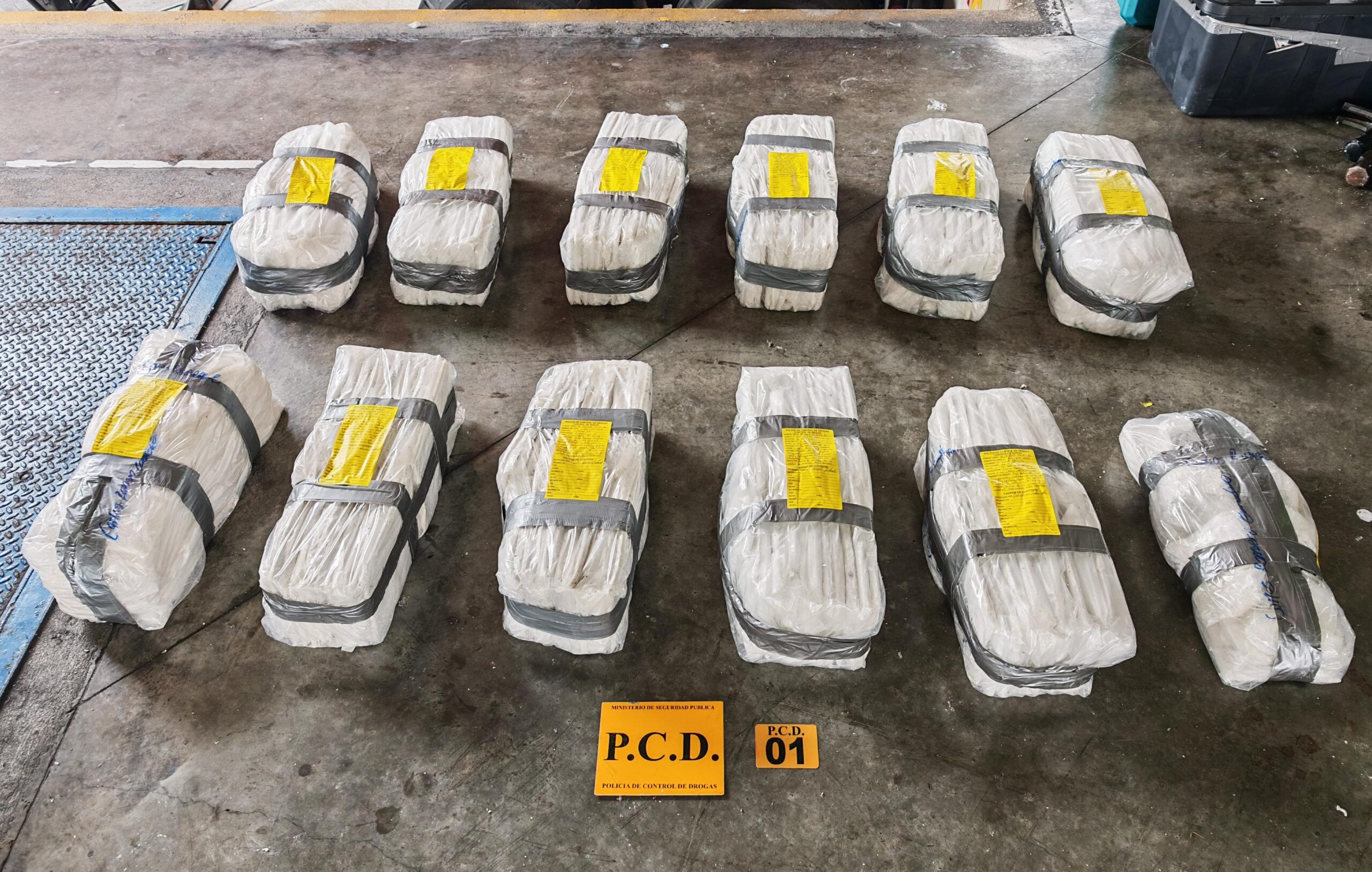 Decomisan 230 kilos de cocaína en Moín que iban hacia Europa