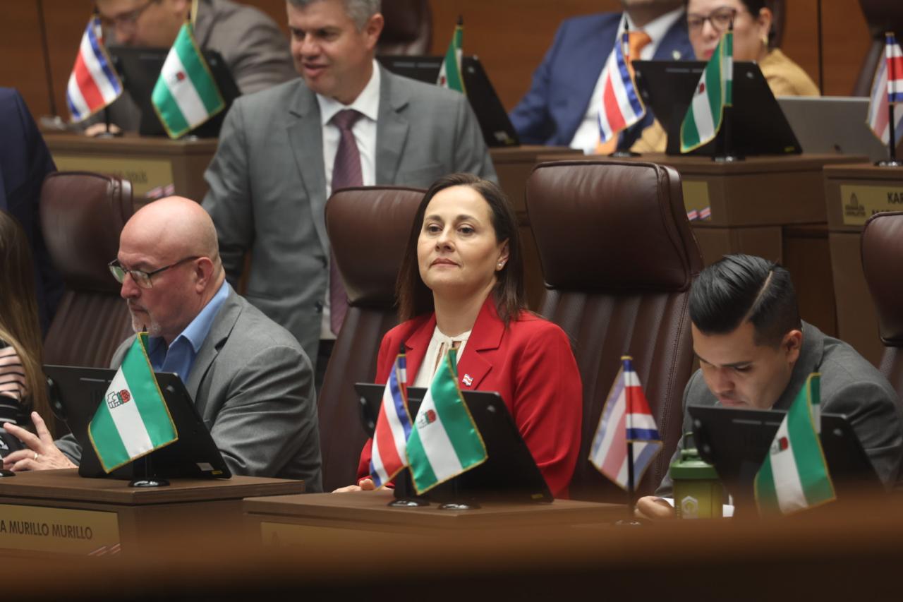 PLN pide a Fernández convocar proyectos para retiro total del ROP