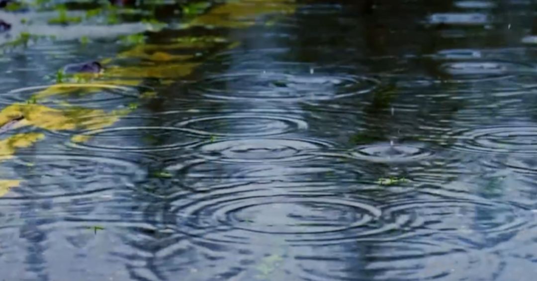 CNE alerta sobre lluvias: Estos son los cantones más afectados