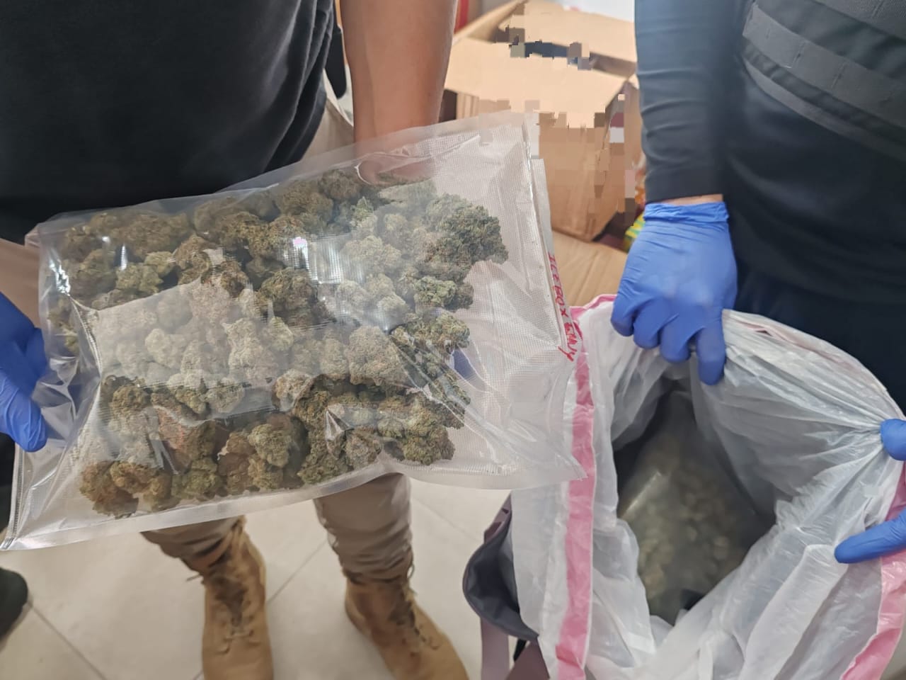 Vehículos, dinero y drogas: OIJ detiene a dos mujeres tras allanamientos