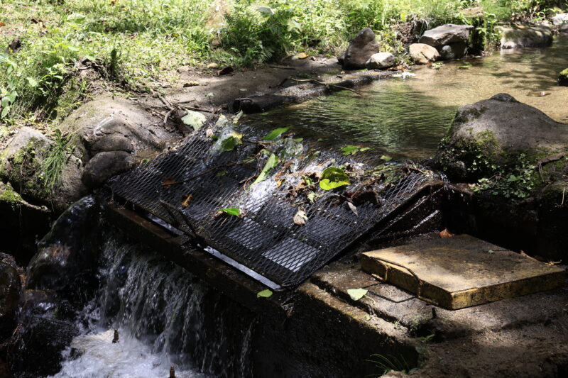 El agua que viene del río Lajas no siempre llega potable a la comunidad.