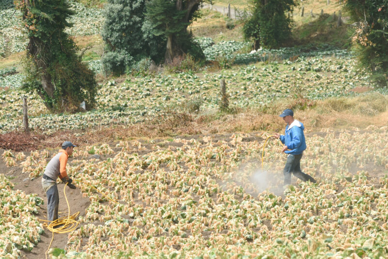 El costo de los fertilizantes son el principal riesgo inflacionario.