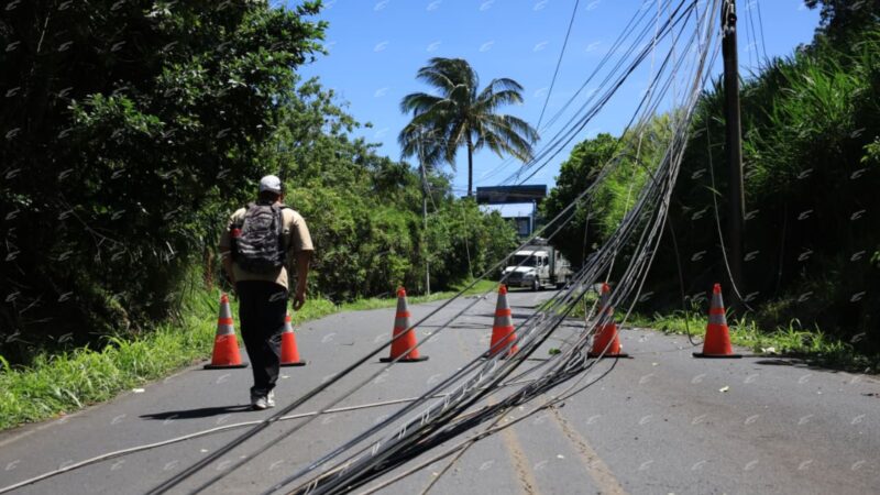 Caída de postes y árboles en Heredia. Foto: Sergio Espinoza. 
