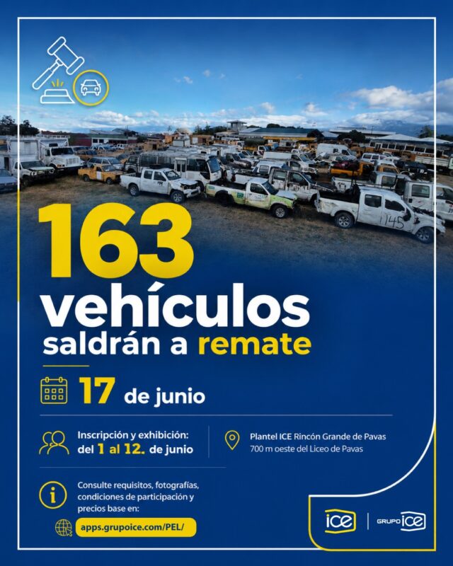 ICE rematará 163 vehículos fuera de circulación: todos los detalles