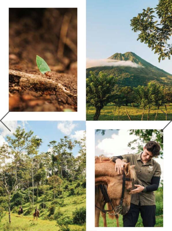 Costa Rica en NatGeo. Foto: cortesía ICT.