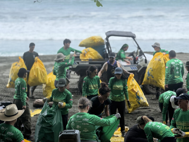 250 voluntarios limpian Corcovado y hallan basura 