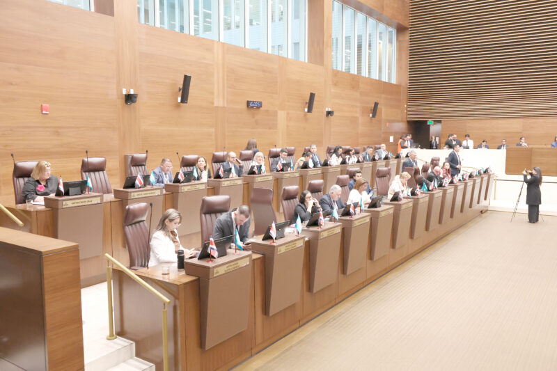 Presidenta del Congreso defiende inclusión de exasesores de Nueva República.