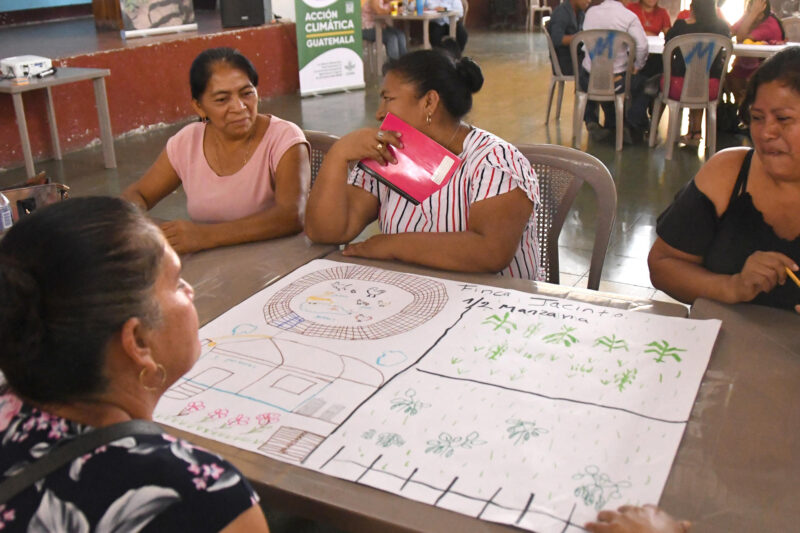 Tecnología y apoyo económico: asistencia humanitar