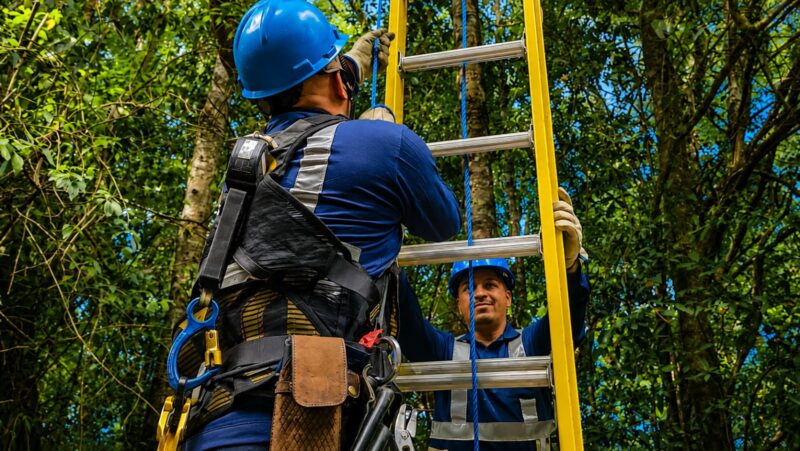 Impulsan plan para proteger animales de redes eléctricas