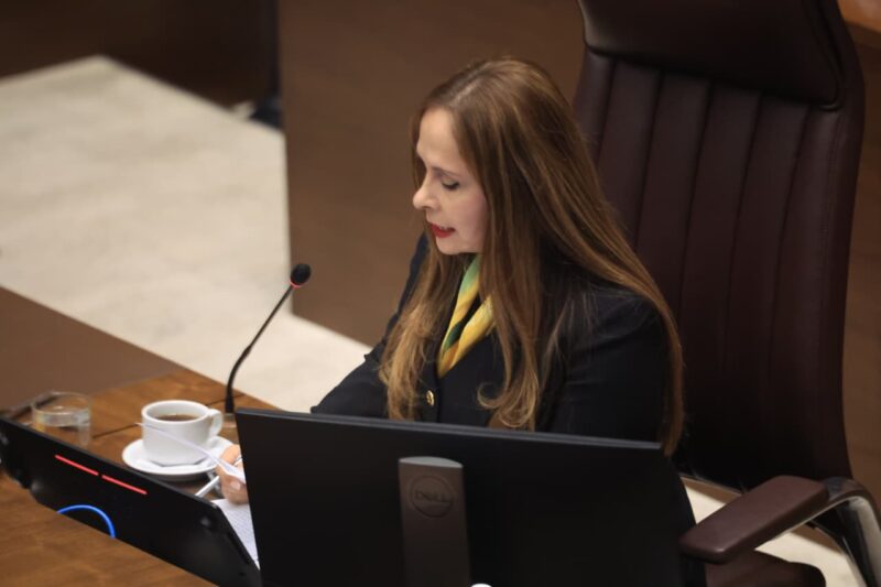 Diputadas ponen recurso de amparo contra Presidencia Legislativa