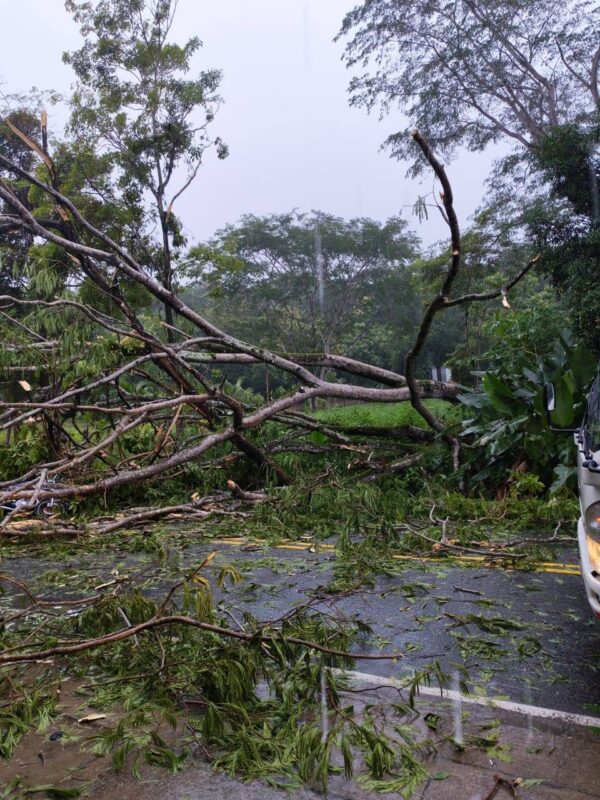 Fuertes lluvias dejan sin electricidad a varios sectores del