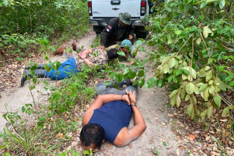 Foto: Brigada de Control y Aprovechamiento Forestal del ACG.