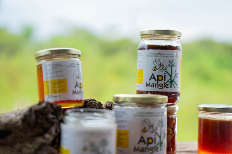 ApiMangle, un emprendimiento comunitario en Puntarenas. Foto: cortesía.
