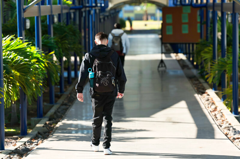 Según el plan, hay 44 metas para educación.